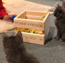 Load image into Gallery viewer, Pet Toy Box